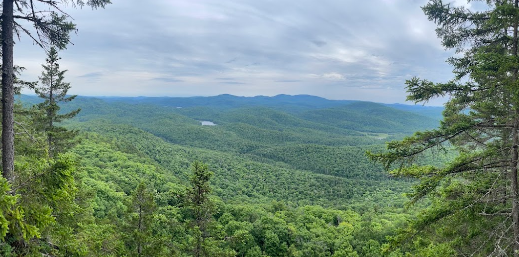 Randonnée au Mont Gorille : vues magnifiques à deux pas du Refuge
